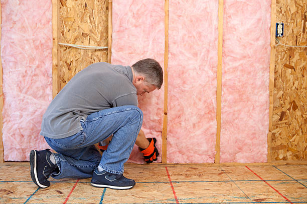 Best Specialized Insulation Services in Wichita, KS